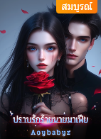 พายุ นักธุรกิจหนุ่มเบื้องหลังของเขาคือมาเฟีย เขาไม่เคยชอบผู้หญิงคนไหน จนแม่กลุ้มใจเพราะกลัวว่าเขานั้นอาจจะไม่ได้ชอบผู้หญิง