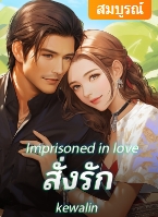 วิกฤติบริษัทหาคู่
