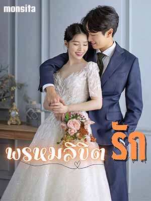 พรหมลิขิตรักพิศวง
