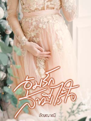 อุ้มรักสามีไร้ใจอ่านออนไลน์ทั้งเรื่อง