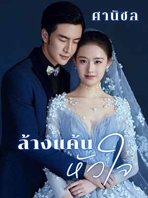 นวนิยายการแก้แค้นของ มอร์แกน และ โอลิเวีย